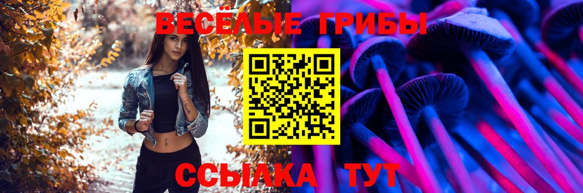 Галлюциногенные грибы мицелий  где найти   Белореченск  Вход с VPN 